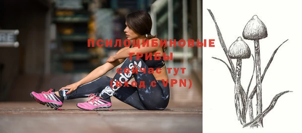 герыч Няндома