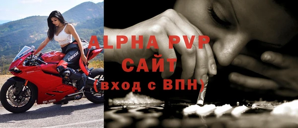 СК Ветлуга