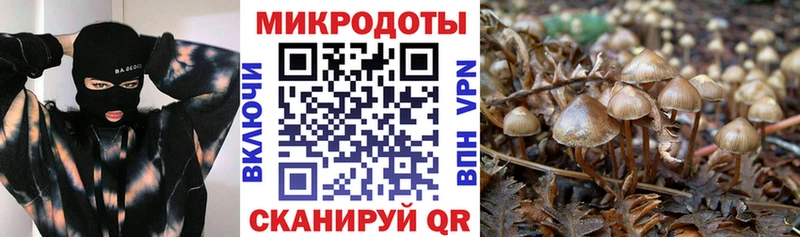 где продают наркотики  Шарыпово  Псилоцибиновые грибы Magic Shrooms 
