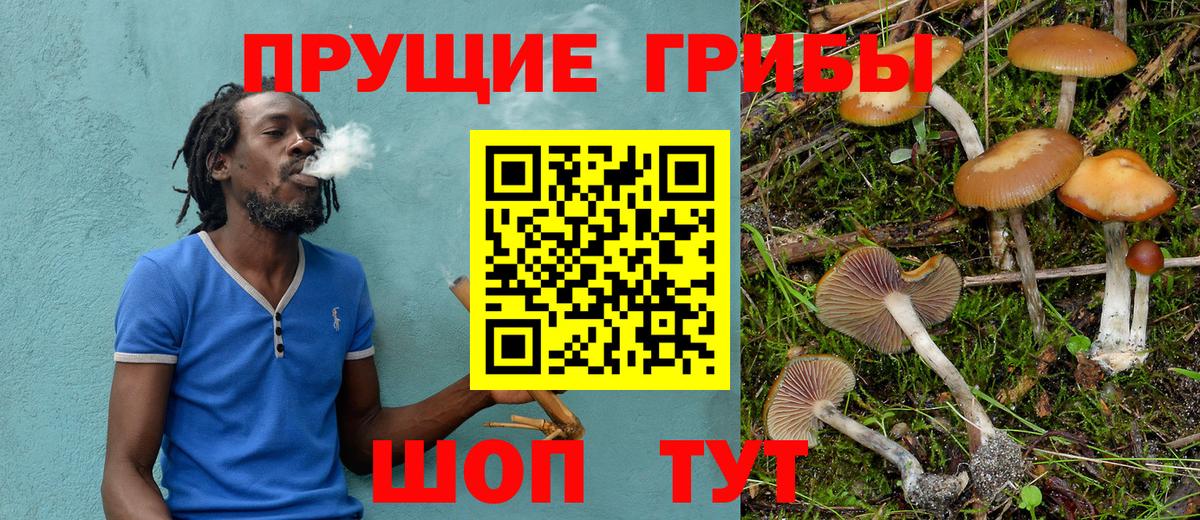 Псилоцибиновые грибы мухоморы Шарыпово