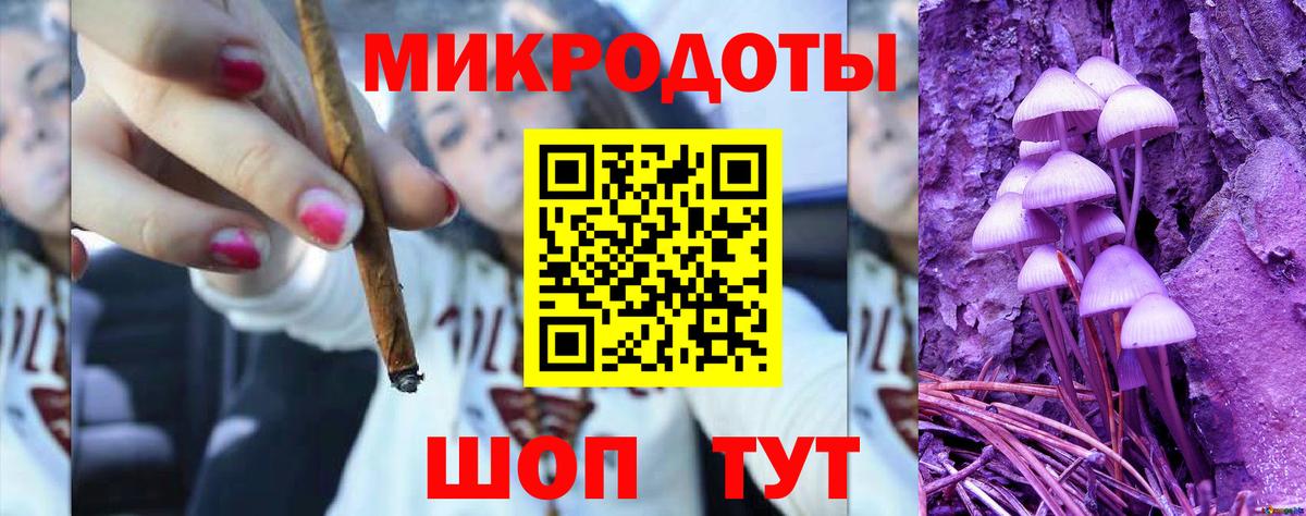 Псилоцибиновые грибы Psilocybe Шарыпово