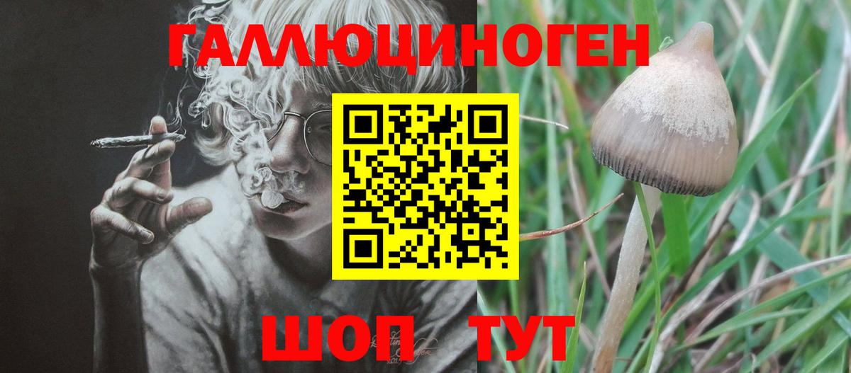 Псилоцибиновые грибы мухоморы  Галлюциногенные грибы Cubensis  Вход с VPN  Шарыпово 