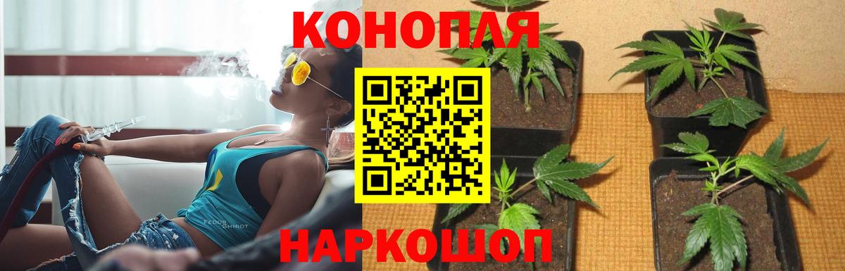 Канабис SATIVA & INDICA  Каннабис семена  Шарыпово  Вход с VPN  Марихуана SATIVA & INDICA 